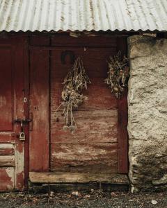 B&B / Chambres d'hotes Au Son des Aiguilles : photos des chambres