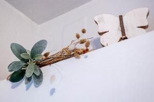 Appartement avec balcon à Strasbourg Robertsau