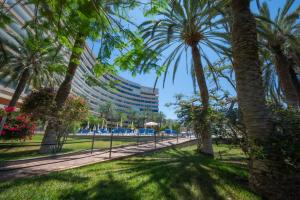 Seagulls melody C-208