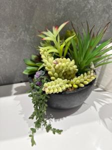 Modern 2 bedroom cottage house