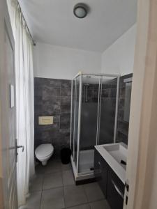 Appartements Le Central : Appartement 1 Chambre