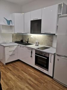 Modern apartment in the city center