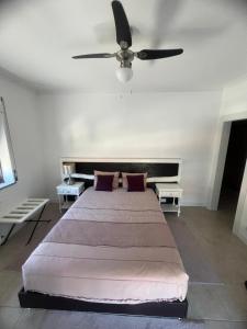 Cerva Village Apartment