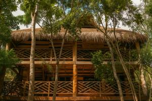 Treehouse Tulum H2Ojos