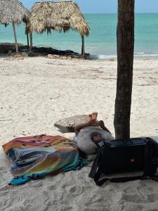 Oneira Seybaplaya apartments private and exclusive