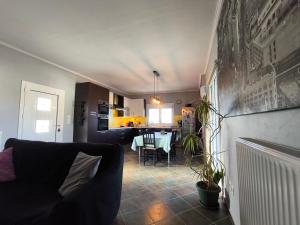 Modern big house in the port of Andros