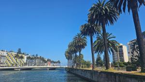 Alquileres sol viña mejor ubicacion , terraza, estacionamiento privado