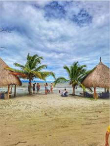 Cabaña desde 4 huéspedes 560 metros cuadrados con Naturaleza a 300 metros mar