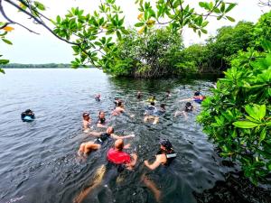Cabaña desde 4 huéspedes 560 metros cuadrados con Naturaleza a 300 metros mar