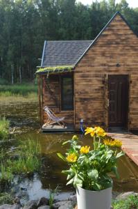 heather hut, off-grid cottage on a pond+2 ha