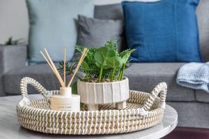 Sunny 1BR Apt Near Hospital, QUT & CBD with Parking!