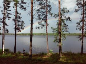 Kuoreksenniemi Villas & Lakehouse