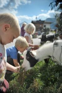 Studio room in Hocheggerhof - Urlaub am Kinderbauernhof