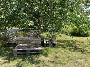 Gîte de charme près du Mans pour 4 avec piscine naturelle - FR-1-410-473