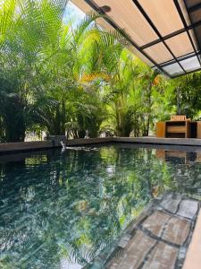 Casa Carambola Bioluminicencia, Tortuga y Quesera