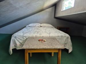 Casa Carambola Bioluminicencia, Tortuga y Quesera