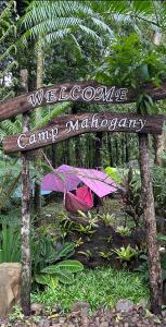 Josiah Tree House Camp Mahogany Llavac Quezon