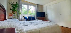 Habitación Privada en Apartamento, Conquistadores