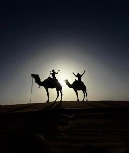 Sahara Luxury Camp VIP