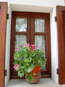 Agriturismo L'Aglientu B&B img47