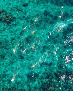 Villa con piscina privada, West Bay Roatan