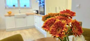 TriApart Apartamenty Amber Beach Jantar