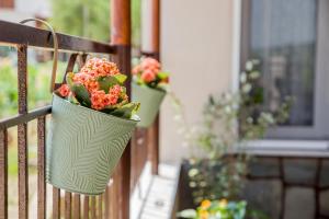 4 seasons home Ofrinio