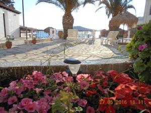 Agelica Apartments Kalymnos Greece