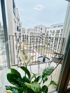 Luxury apartments with beautiful views