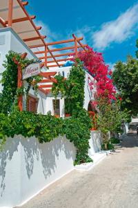 Marisa Rooms Paros Greece