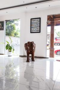 Hotel Silver Horse Dambulla