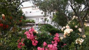 Apartment Lopar 