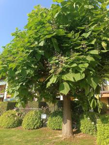 Lake and Country Life