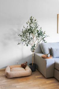 NEW Scenic Family Stay in Tegefjäll Hike & Relax