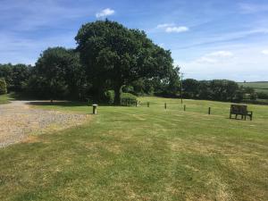 Lower Shippen - 23493