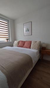 Zamek i Rzeka- apartament w Malborku