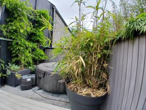 Gîtesdesignemoi entre Design et émotion - la perle