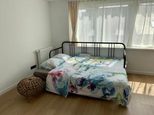 Home in Antwerp city center