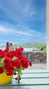 Derrynane Oceancove Holiday Homes by Trident Holiday Homes