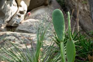 Villa Turalis by Klodge img31