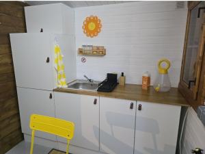 Bateaux cabane bateau : Mobile Home