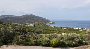 Dafni Stone House In Epidavros