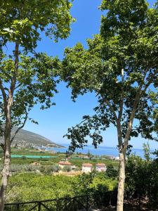 Dafni Stone House In Epidavros