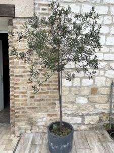 Maisons de vacances Le Clos des Fontenis 15p Spa Famille Nature : photos des chambres