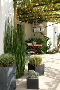 Chambre Dhôtes À 2 Pas Des Plages