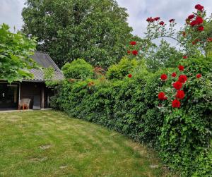 Rozenhofje Asselt - Roermond