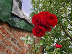 Rozenhofje Asselt - Roermond