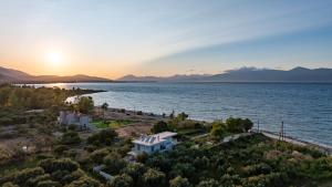 Theosis Signature Suites