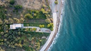 Theosis Signature Suites