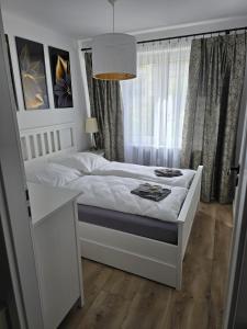 Apartament Augustów Nikola